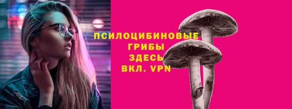 винт Бабаево