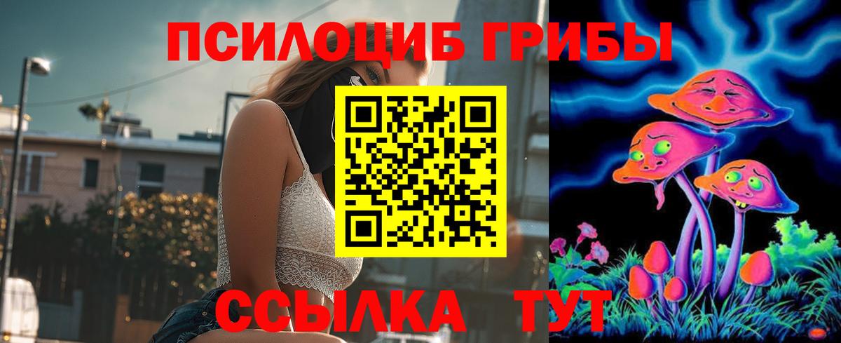 как найти закладки  Вход с VPN  Выборг  Псилоцибиновые грибы ЛСД 