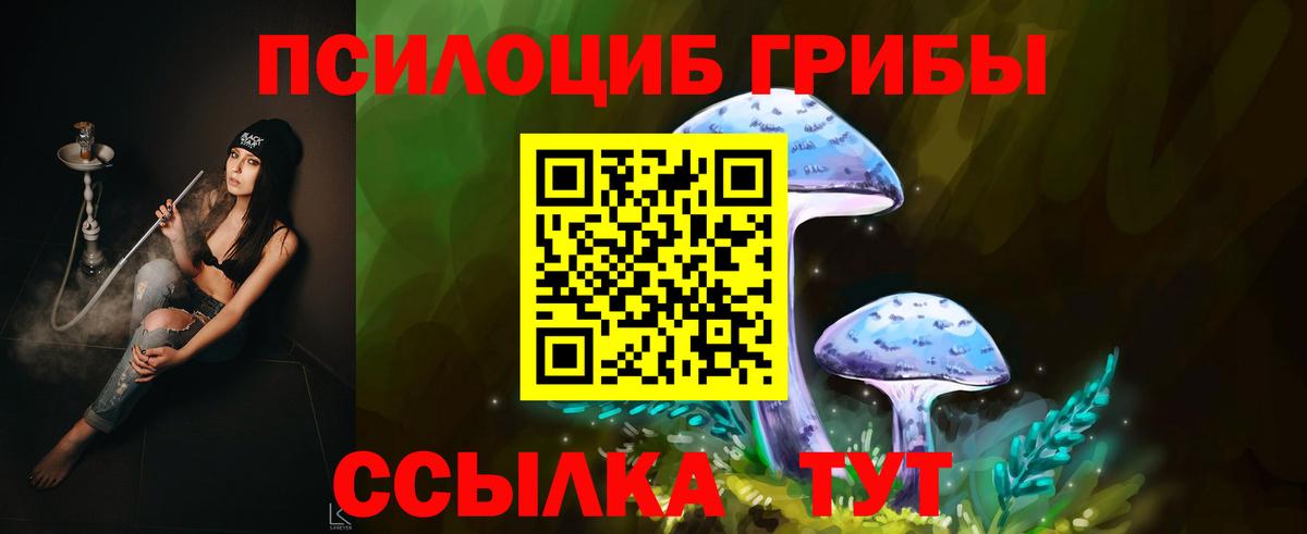 Псилоцибиновые грибы Psilocybe  Выборг  Галлюциногенные грибы MAGIC MUSHROOMS 
